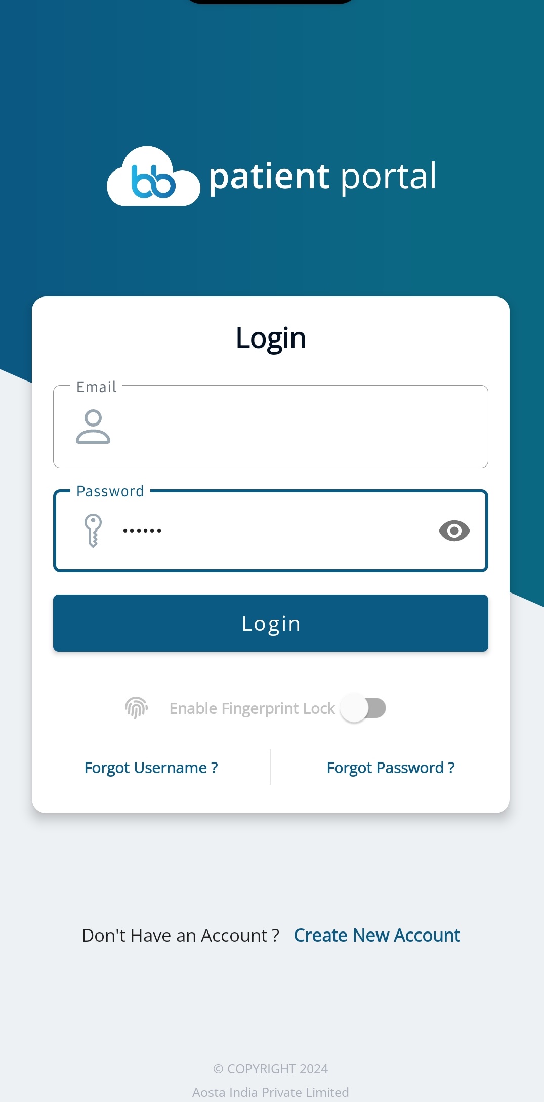 Login Form